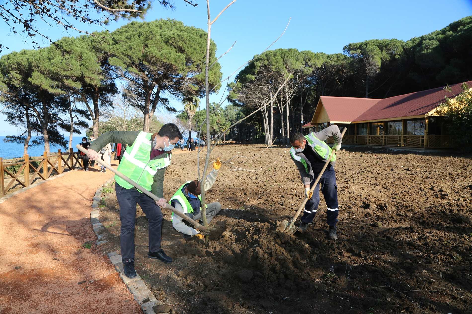 ÜNYE ÇAMLIK’TA CAZİBE ARTIYOR